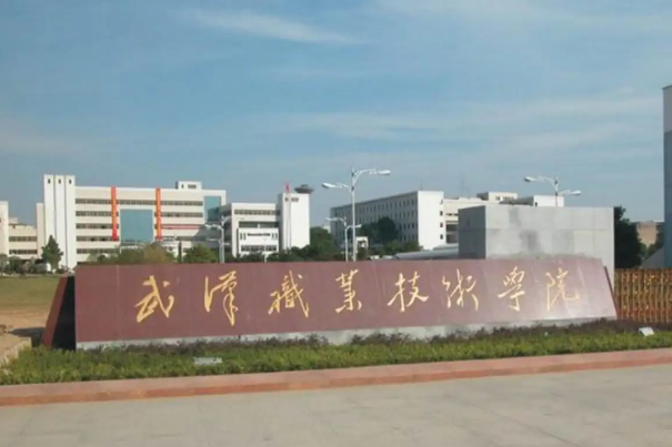 武漢大專排行榜前十，長(zhǎng)江職業(yè)學(xué)院上榜，第一屬實(shí)名不虛傳