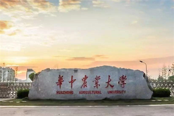 武漢211大學(xué)有哪些？2019武漢211大學(xué)名單排名榜 (7所)