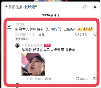 “長城 炮！”火遍全網(wǎng) 長城汽車：潑天的富貴終于輪到我們