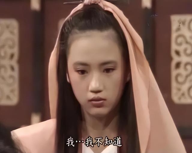 美尼姑 曾紅遍南北，搭檔梁朝偉，賈靜雯給她做配，卻突然出家（美尼姑曾紅遍南北）(11)