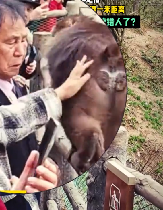 大媽摸猴子屁股致旁邊大爺被咬傷引熱議 網(wǎng)友：大爺扛下所有