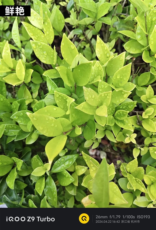 1999元＋6000mAh超大電池！這手機(jī)治好了我的續(xù)航焦慮