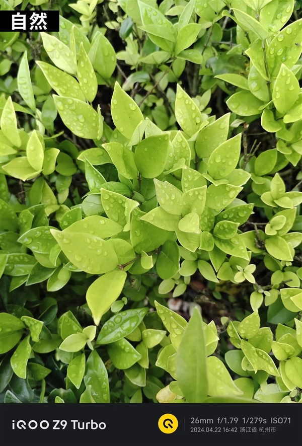 1999元＋6000mAh超大電池！這手機(jī)治好了我的續(xù)航焦慮