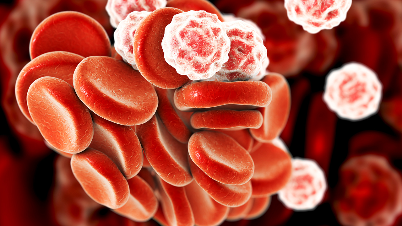 大便常規(guī)白細(xì)胞紅細(xì)胞痢疾