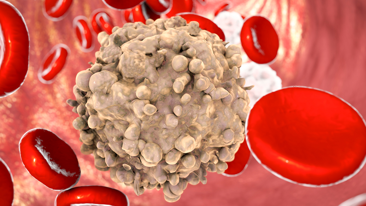 寶寶白細(xì)胞與血小板減少