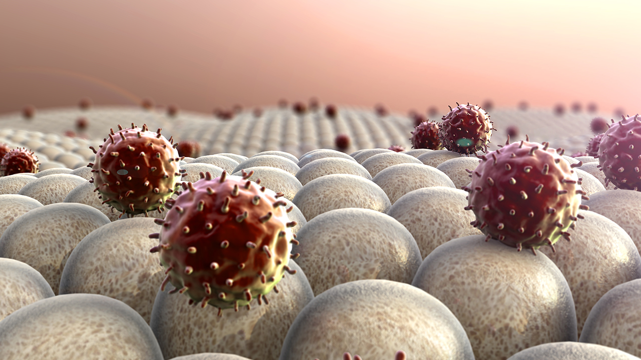 白細(xì)胞減少癥和粒細(xì)胞缺乏癥