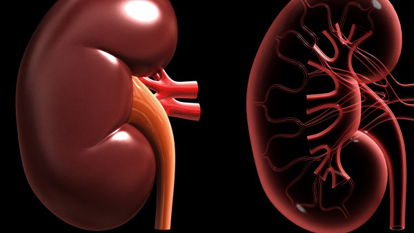 30歲的早泄能治好嗎？