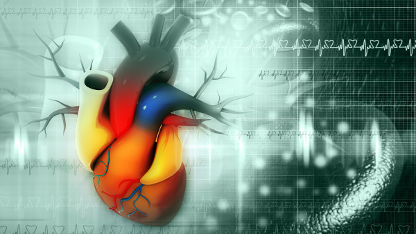 37歲男有房顫怎么辦？