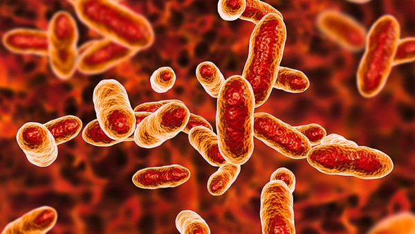 白血病會傳染嗎