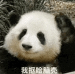 任天堂閃擊GitHub：一夜刪光8000多個模擬器代碼倉庫！