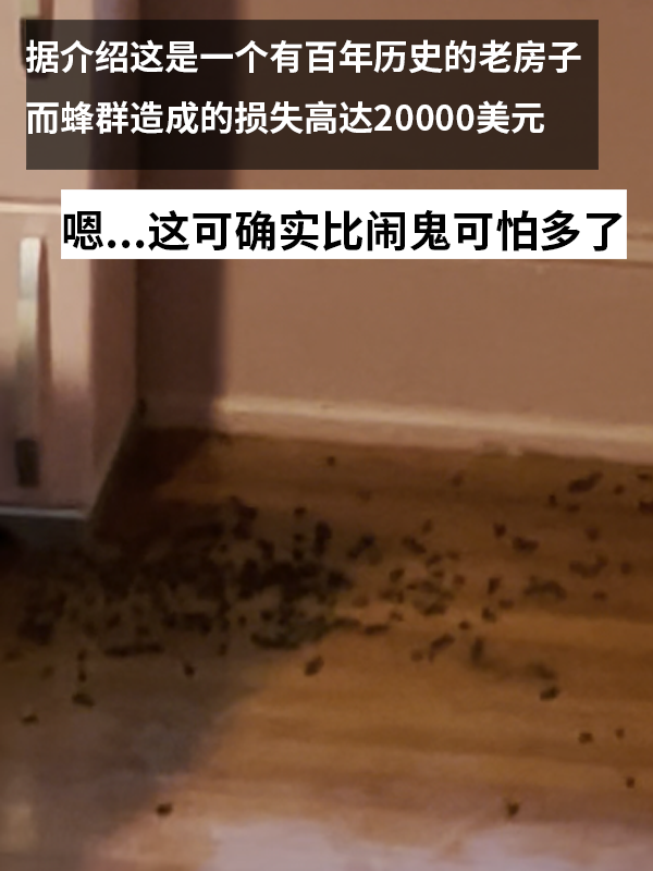 三歲女孩總說墻里有鬼：專業(yè)人士來了也被嚇一跳！