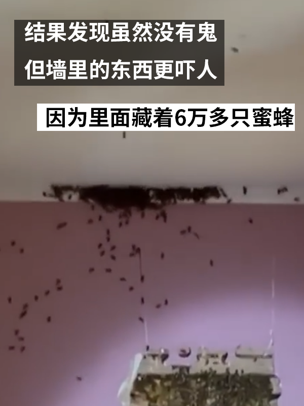 三歲女孩總說墻里有鬼：專業(yè)人士來了也被嚇一跳！