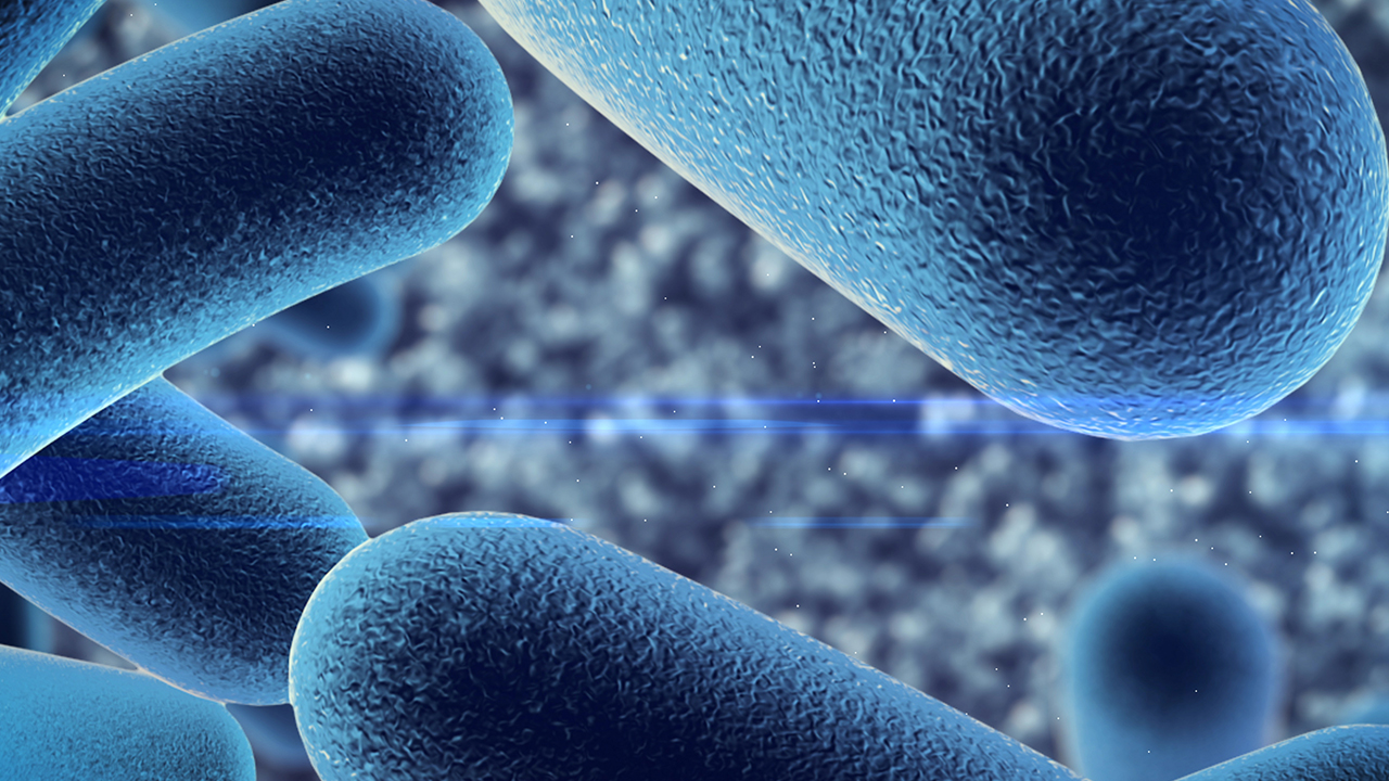 出血性膀胱炎應(yīng)該如何預(yù)防