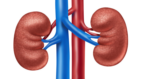 低保尿毒癥換腎手術(shù)