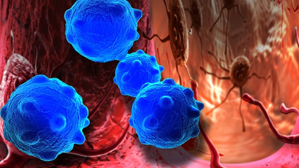 板狀腹吃蘆薈消炎 促進(jìn)傷口愈合