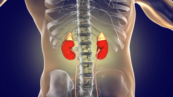 鼻型淋巴癌四期能活多久