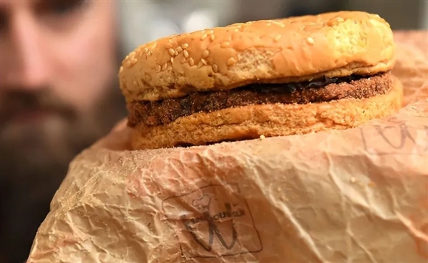 1995年的麥當勞漢堡至今不腐！這是吃了什么防腐劑？