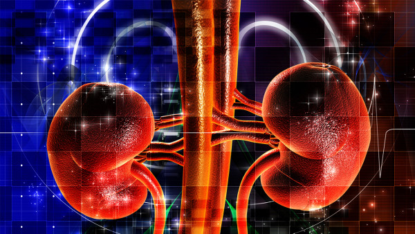 腎結(jié)石手術(shù)哪種最好