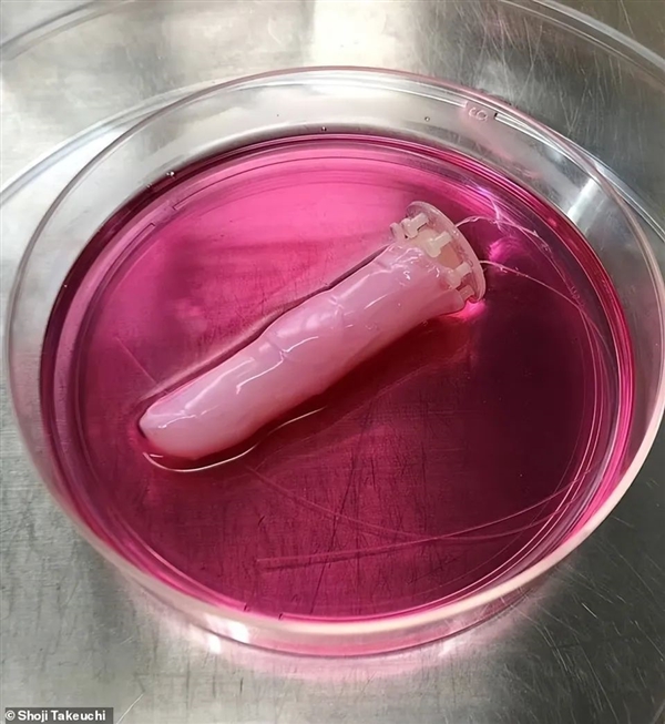 日本機(jī)器人有了“媽生臉”：活生生的會笑 但真的好詭異