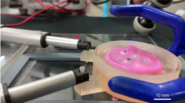 日本機(jī)器人有了“媽生臉”：活生生的會笑 但真的好詭異