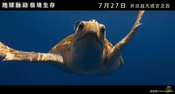 豆瓣9.7分紀錄片天花板！《地球脈動》首部大電影國內(nèi)定檔7月27日：預(yù)告片發(fā)布