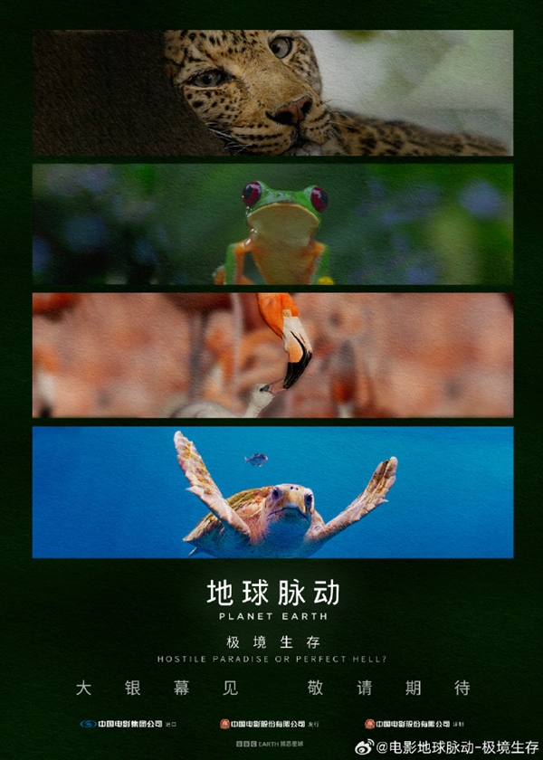 豆瓣9.7分紀錄片天花板！《地球脈動》首部大電影國內(nèi)定檔7月27日：預(yù)告片發(fā)布