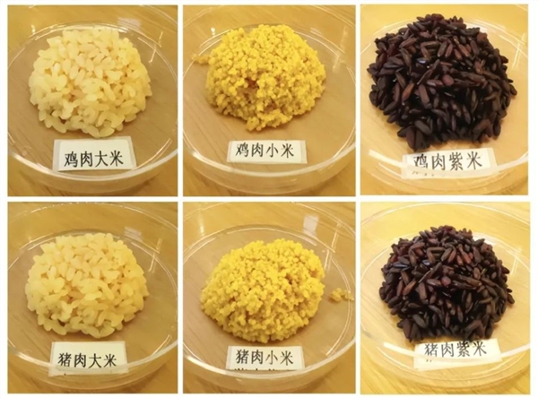 米肉合一！我國成功培育豬肉米和雞肉米 每顆米粒自帶肉香