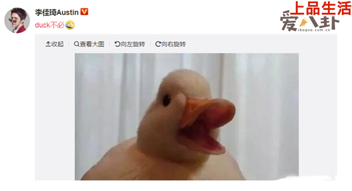 duck不必是怎么火起來(lái)的