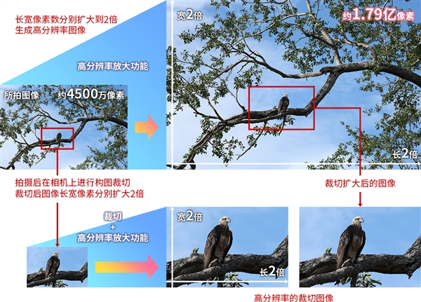 26999元！佳能發(fā)布全畫幅微單EOS R5 Mark II：可生成1.79億像素照片