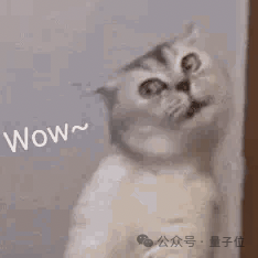 蘋果14年來嚴(yán)重產(chǎn)品泄漏！M4版MacBook還沒發(fā)：開箱視頻滿天飛