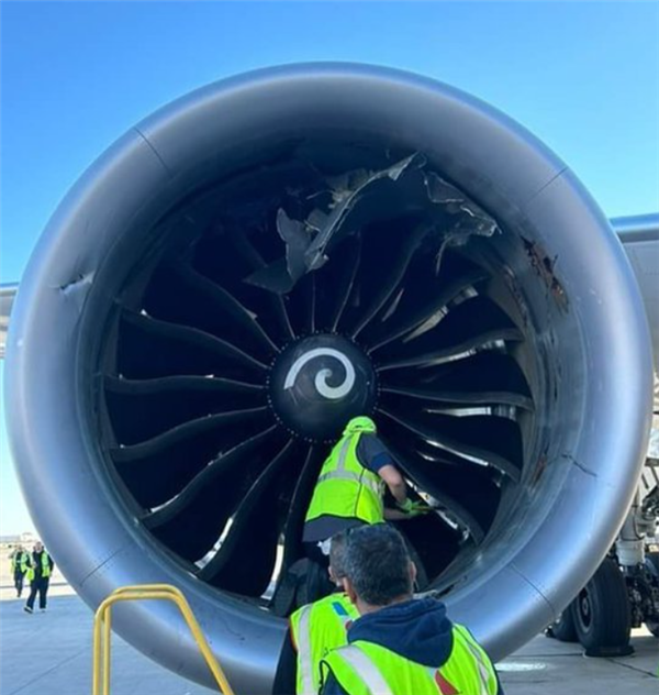 美國一波音787客機(jī)發(fā)動(dòng)機(jī)吸入行李集裝箱 事故原因太巧合