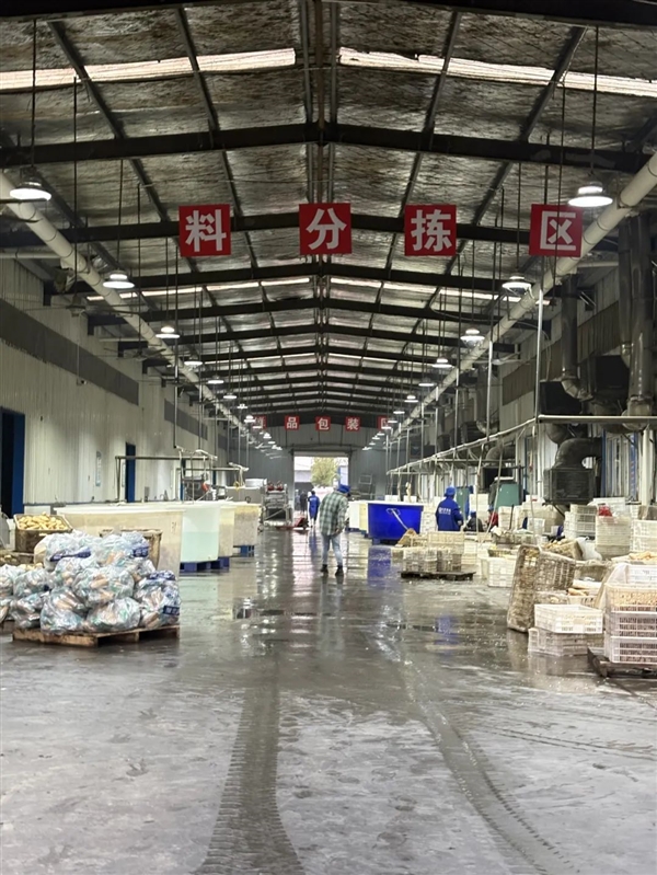 新疆的海鮮、甘肅的蝦 農業(yè)大摸底太精彩了