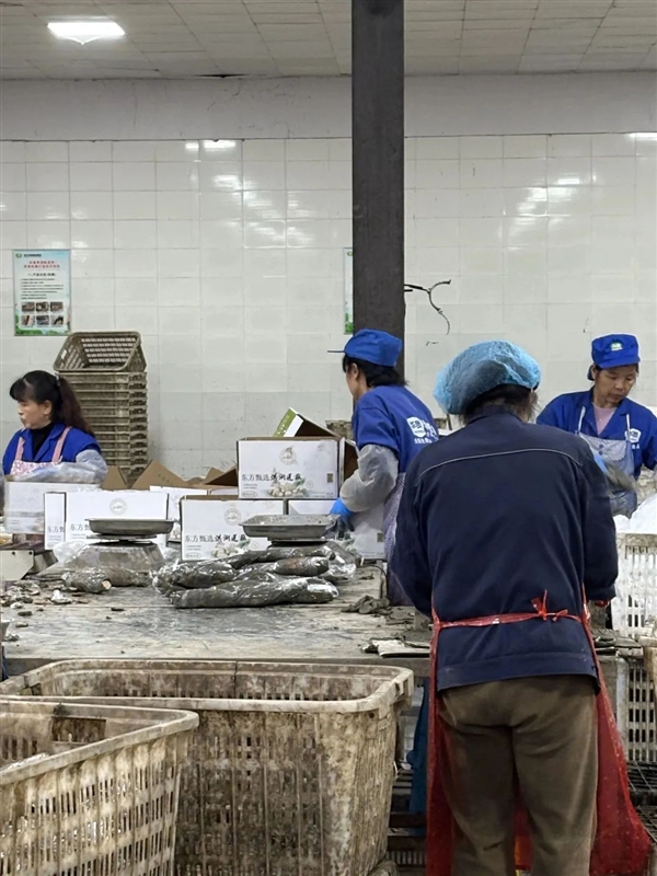 新疆的海鮮、甘肅的蝦 農業(yè)大摸底太精彩了