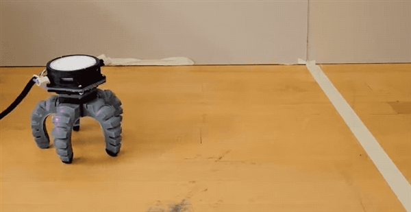 搞笑諾獎(jiǎng)已經(jīng)過氣了 整活還得看我們菠蘿科學(xué)獎(jiǎng)！