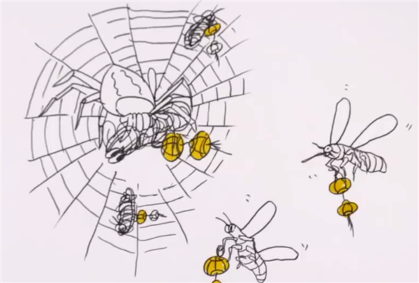 搞笑諾獎(jiǎng)已經(jīng)過氣了 整活還得看我們菠蘿科學(xué)獎(jiǎng)！