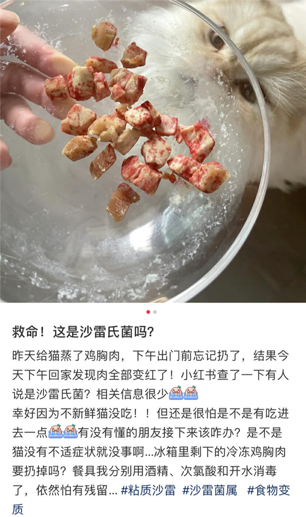 好可怕！為什么馬桶里總是有一圈紅色啊啊啊
