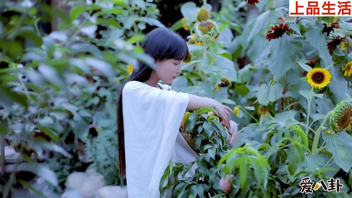 李子柒寫真