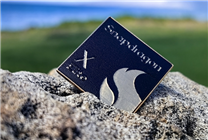 打破臺(tái)積電壟斷！聯(lián)電奪下高通先進(jìn)封裝訂單