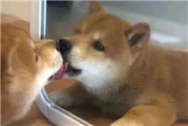 微信推出這個送禮功能 到底好不好用