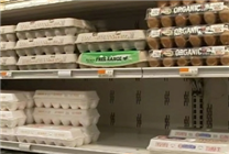 蛋價飆升：美國部分地區(qū)一顆雞蛋5塊多 真吃不起了