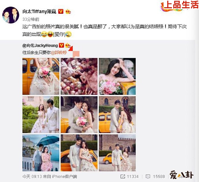 向佐郭碧婷兩人的結(jié)婚是假的？