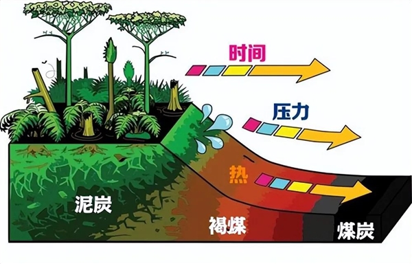 亞洲大露天煤礦 百米厚煤層足足開采了118年！古代植物咋都埋那了