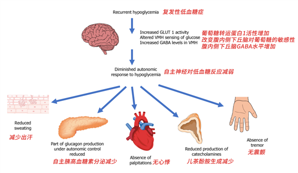 “網紅洋媳婦”突然去世被當地證實！常見的低血糖也會致人死亡